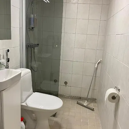 Joy - Cosy 950m From The Train Station Апартаменты Рованиеми